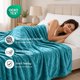 thumbnail image 2 of Cobija de Forro Polar MOONLIGHT20015 Queen 400 GSM Turquesa, 2 of 9