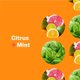 thumbnail image 3 of Loción EO Everyone Citrus Mint Organic 946 ml, 3 of 5