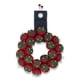thumbnail image 4 of Alfiletero Dritz en Forma de Tomate Cherry Tamaño 12 Piezas, 4 of 5
