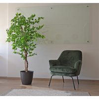 Arbusto Real - Planta Artificial Ficus Premium 160 Cm.
