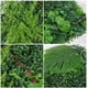 thumbnail image 3 of Jardín Muro Vertical Artificial B Palmeta Plantas 60x40 Cm, 3 of 9