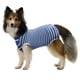 thumbnail image 1 of Traje de recuperación para perros, monos para gatos para heridas abdominales, camiseta de recuperación para mascotas macho y hembra, traje quirúrgico cómodo después de la cirugía, monos antilamidos pa, 1 of 8