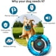 thumbnail image 5 of Juguete para perros Pamlulu Tough para perros grandes que mastican agresivamente, 5 of 7