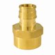 thumbnail image 1 of Adaptador Barb x FPT de 1/2 pulgada de The Mosack Group Inc, 1 of 7