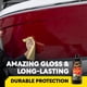 thumbnail image 3 of Cera marina Meguiar's Flagship M63, 3 of 3