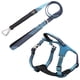 thumbnail image 1 of Arnés y correa para perro Pet Life ® Serie Outdoor 'Geo-Prene', 1 of 5