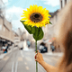 thumbnail image 3 of Ramos girasol artificiales 3 uds 60 cm, 3 of 3