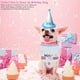 thumbnail image 4 of Bufanda de feliz cumpleaños para mascota, gato, perro y lindo sombrero de fiesta, sombrero de cumpleaños para niña y niño, conjunto de disfraces de fiesta de cumpleaños para mascota, 4 of 5