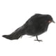 thumbnail image 2 of plumas artificiales cuervos peque?os pájaros cuervos accesorios decoración de Halloween # 2 negro, 2 of 3