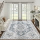 thumbnail image 1 of Alfombra Area Jinchan, lavable, vintage, 240 x 300 cm, chenilla gris, 1 of 8