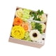 thumbnail image 5 of Jabón Caja de flores de rosas Regalos para el día de la madre Jabón decorativo de baño Flores perfumadas Jabón de baño Pétalos de rosas para mujeres M Verde, 5 of 5