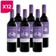 thumbnail image 1 of Pack 12 Vino Bicicleta Merlot 750cc, 1 of 2