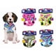thumbnail image 3 of Arnes Pechera Perro Xcho Mascota Comodo Reflectante Talla M (Azul)), 3 of 3