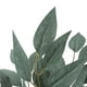 thumbnail image 3 of Peperomia Artificial, 3 of 4