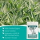 thumbnail image 2 of Hojas de Salvia Orgánica Zhivana Organics 85g a Granel, 2 of 8