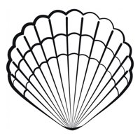 Rienda Libre Graphics - Decomural Seashell Nautical Ws-15408