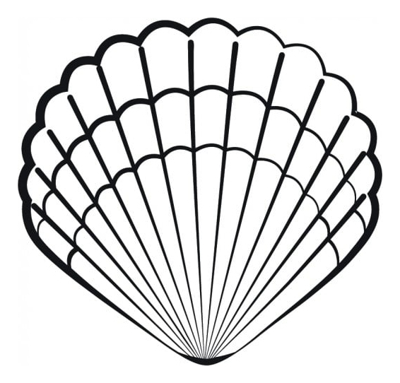 Rienda Libre Graphics - Decomural Seashell Nautical Ws-15408