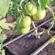 thumbnail image 2 of Agropelo, Mulch De Ahorro Hidrico Para Hortalizas Y Reforestación 30cm, 2 of 2