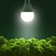 thumbnail image 2 of Briignite Grow Light Bulbs, 5000K Full Spectrum Grow Light, 2 of 3