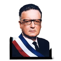 Genérico - Cuadro Madera Salvador Allende Chile 33X48 Cm