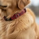 thumbnail image 2 of Collar Diseño Navidad Para Mascotas Tam L, 2 of 3