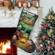 thumbnail image 1 of Calcetín de Navidad Desmarcar The Loud House 54cm x 38cm Blanco, 1 of 5
