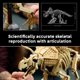 thumbnail image 4 of Set de construcción LEGO Jurassic World Triceratops 77985, 4 of 7