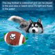 thumbnail image 4 of Juguete para perros QDAN Football para tira y afloja, agua y entrenamiento de perros pequeños y medianos, 4 of 8