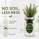 thumbnail image 5 of Kit hidropónico para cultivar hierbas Environet en frasco Mason de romero, 5 of 8