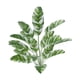 thumbnail image 1 of Grandes Plantas Falsas Exteriores Hoja De Plátano Simulada Para Baño Chimenea De Playa 18 Cabezas Estilo H, 1 of 5
