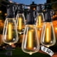 thumbnail image 1 of Luces de cadena DELITOR 15,24 m LED impermeables regulables, 1 of 9