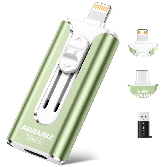 Memoria USB AUAMOZ 256 GB de Doble Interfaz Verde Salvia