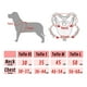 thumbnail image 2 of Arnes Pechera Perro Xcho Mascota Comodo Reflectante Talla M (Azul)), 2 of 3