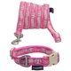 thumbnail image 1 of Combo de correa y collar para perro TOUCHDOG 'Caliber', 1 of 3