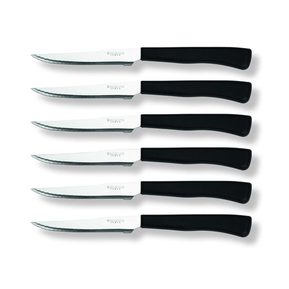 Set 6 Cuchillos Carne Daily
