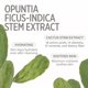thumbnail image 5 of Bruma Facial KEYTH 150 ml Hidratación y Calmante, 5 of 8