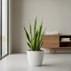thumbnail image 4 of Macetero Umbra 27 Blanco Set x3 Unidades – Bosco, 4 of 7