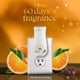 thumbnail image 2 of Ambientador Glade PlugIns recargas Naranja y clavo 20 ml, 2 piezas, 2 of 7