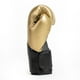thumbnail image 2 of Guante De Boxeo Prostyle Elite V2 Trn Dorado 12 Onzas, 2 of 4
