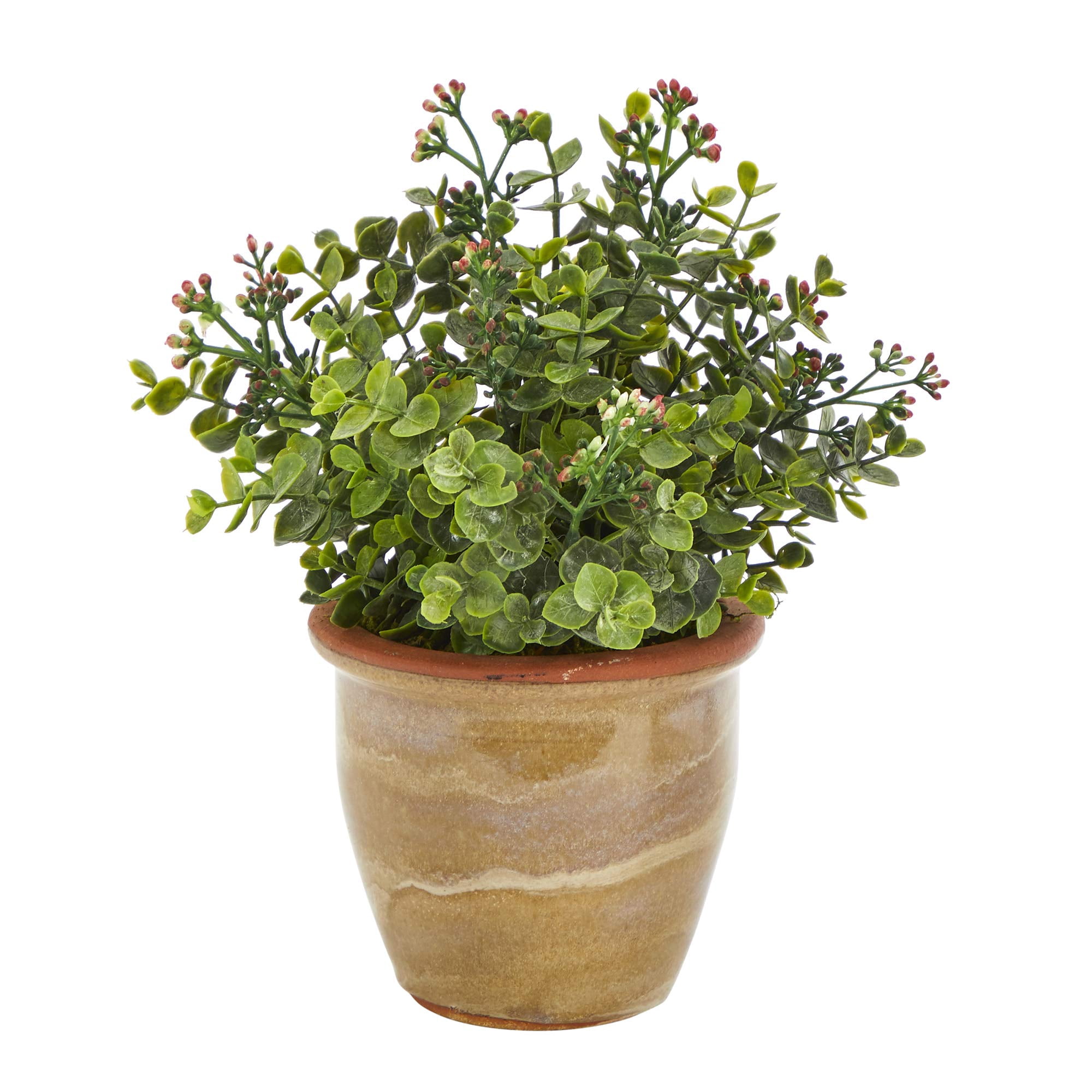 Nearly Natural - Planta Artificial Casi Natural De Eucalipto Sedum, Suculenta, 25 Cm