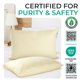 thumbnail image 2 of Almohadas Cheer Collection King 51x91 cm Kapok - Pack de 2, 2 of 7