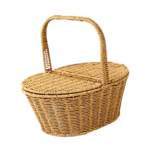 Bothyi - Cesta De Picnic Cesta Portátil Para Plantas Caja De Almacenamiento Multiusos Cesta De Almacenamiento S Oval