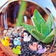 thumbnail image 3 of 100 piezas Mini Resina Ducks fo Manualidades, Multicoloed Miniature Ducks, 8 Colos Tiny Ducks Miniature Figures fo Aquarium Garden Landsgorae Onahombrest Potted Decoations Flower DIY Family School, 3 of 7