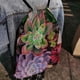 thumbnail image 4 of Mochila de Cuerdas Desmarcar Plantas Suculentas 30x40cm, 4 of 6
