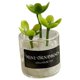 thumbnail image 2 of Mini Juguetes Para Casa De Muñecas Modelo De Paisaje Estático Modelado Mini Plantas Artificiales Estilo C, 2 of 5