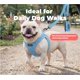 thumbnail image 3 of CORREA Best Pet Supplies Pequeña Azul Bebé 152 cm, 3 of 7