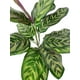 thumbnail image 2 of Ramo Calatea Uv 56cm Artificial, 2 of 3
