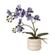 thumbnail image 5 of Planta Artificial De Simulación Floral En Maceta Para Ventanas, Alféizares, Hogar, Color Morado, 5 of 5