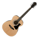thumbnail image 1 of Set de guitarra acustica Ibanez VC50NJP NT, 1 of 2