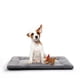 thumbnail image 1 of Almohadilla para cama para perros VERZEY, ultrasuave, lavable, gris, 30 cm, 1 of 6